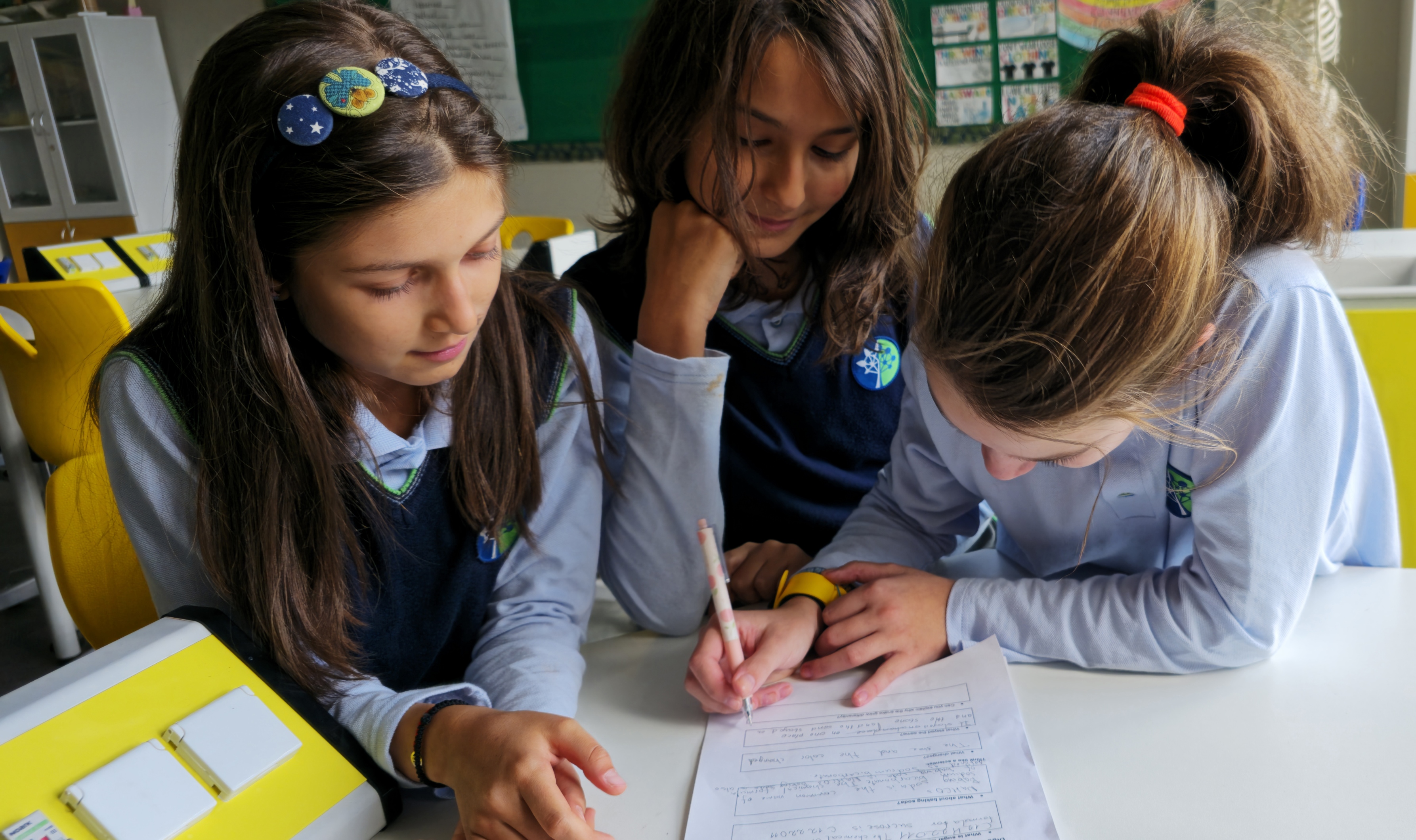 Middle school bilingual education