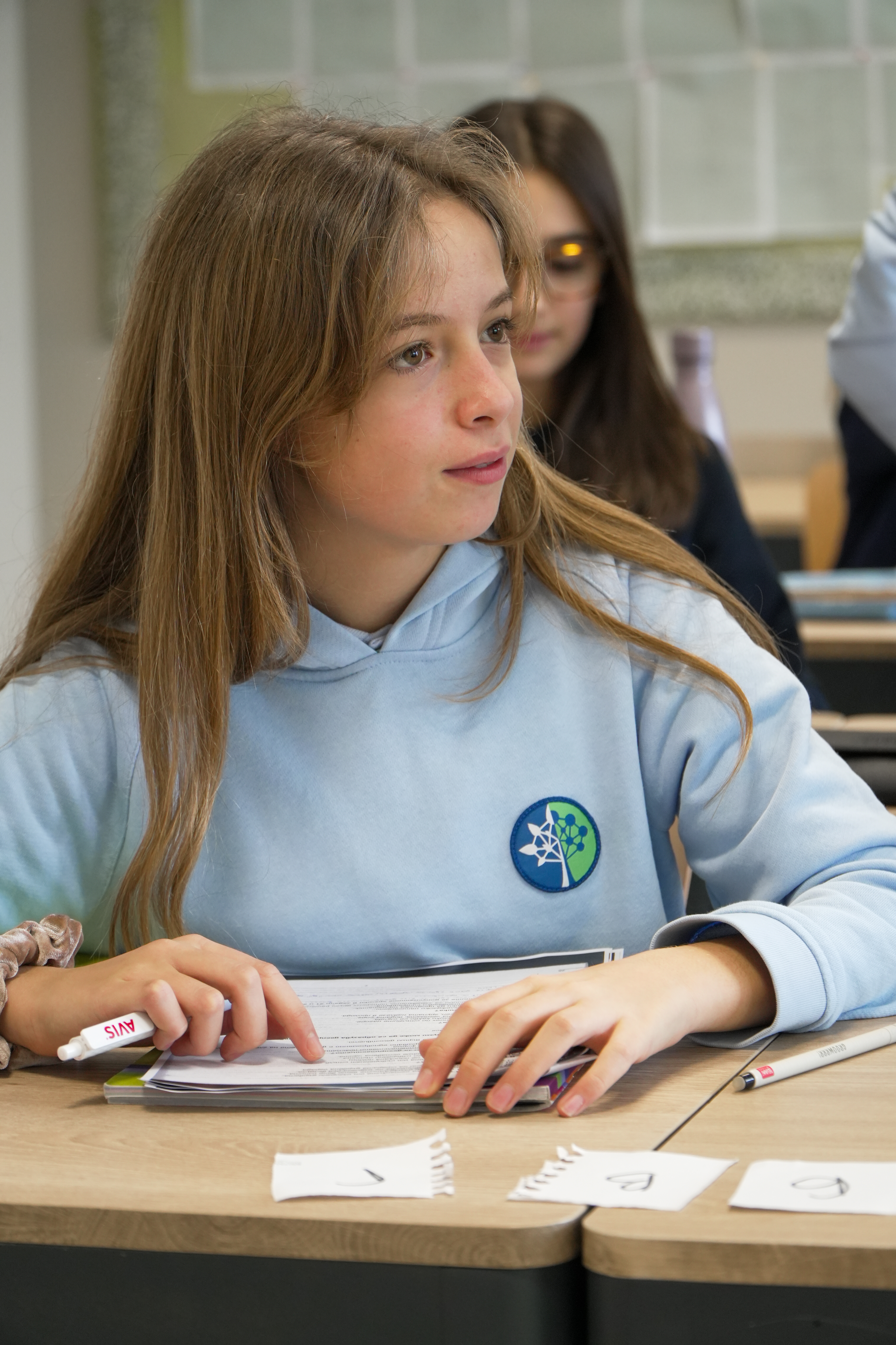 Middle school individual support